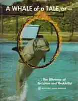 A Whale of a Tale